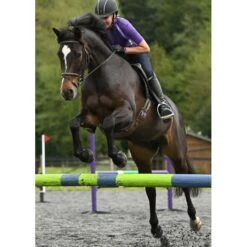 Kerrits Women's Always Cool Solid Ice Fil Short Sleeve Shirt - Iris -Tack Of The Day Store 610165 800 800