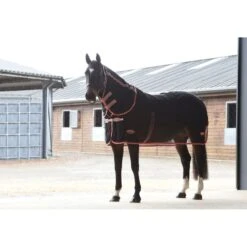 Weatherbeeta Therapy-Tec Wick Dri Cooler Combo Neck - Black/Red/Silver