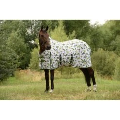 Saxon Mesh W/Gusset Belly Wrap Standard Neck - Cactus Print