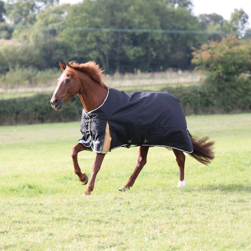 Shires Highlander Plus 200G Standard Neck Turnout - Black/Gold 1 Shires Highlander Plus 200G Standard Neck Turnout - Black/Gold