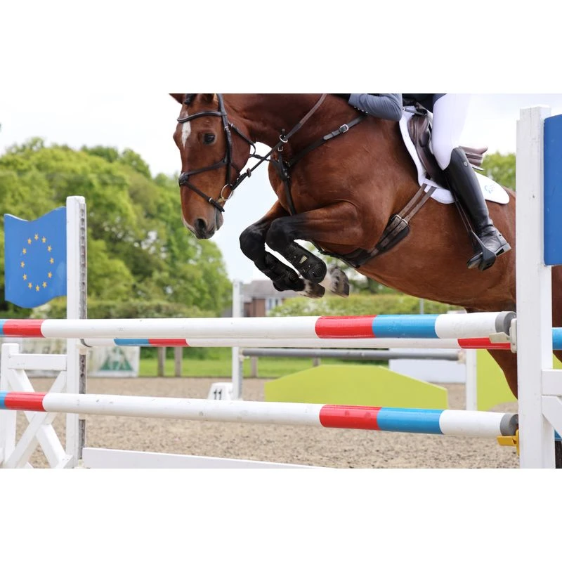 Shires ARMA OXI-ZONE Tendon Boot - Black 3 Shires ARMA OXI-ZONE Tendon Boot - Black - Image 3