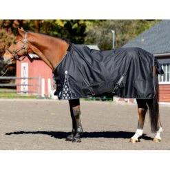Equinavia Norse Turnout Sheet - Black