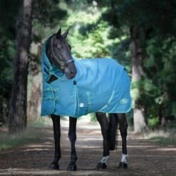 Weatherbeeta Green-Tec 1200D Detach-A-Neck Medium Turnout Blanket - Dragonfly Blue/Bottle Green