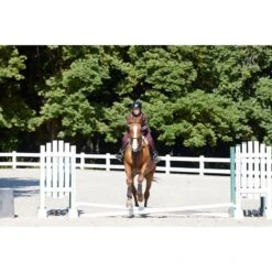 Kerrits Kids' Performance Knee Patch Pocket Tights - Wildrose -Tack Of The Day Store 755002 800 800