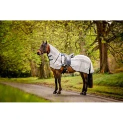 Amigo Flyrider - Chalk/Navy