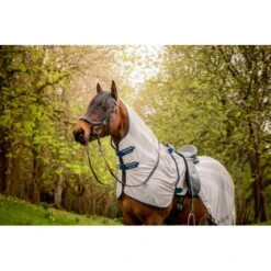 Amigo Flyrider - Chalk/Navy -Tack Of The Day Store 755960 800 800