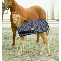Kensington Signature Adjustable Foal Turnout - Deluxe Black