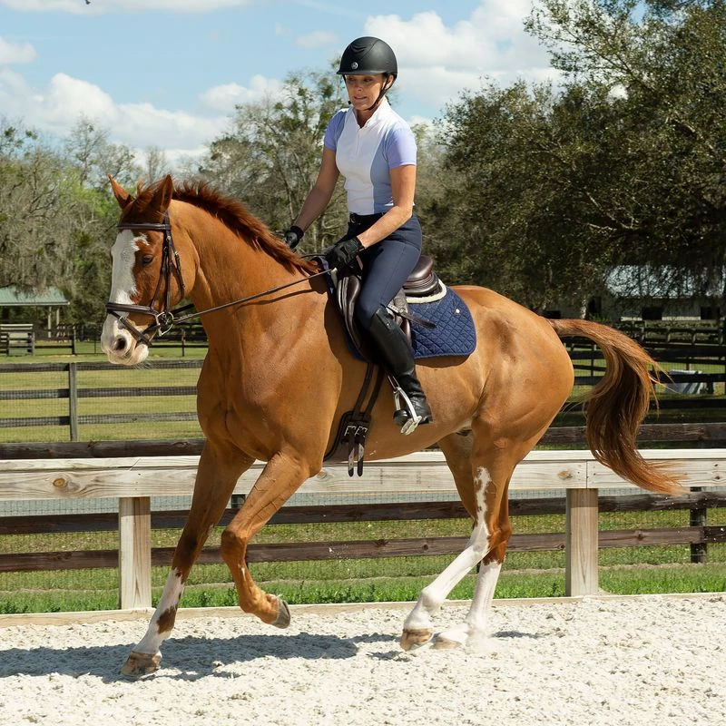 Equinavia Women's Martha Short Sleeved Show Shirt - Light Blue/White 5 Equinavia Women's Martha Short Sleeved Show Shirt - Light Blue/White - Image 5