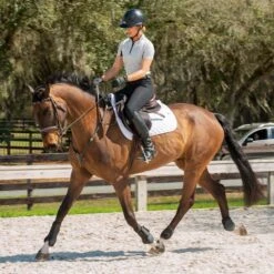 Equinavia Women's Maud Knee Patch Breeches - Black 7 Equinavia Women's Maud Knee Patch Breeches - Black -Tack Of The Day Store 796007 800 800