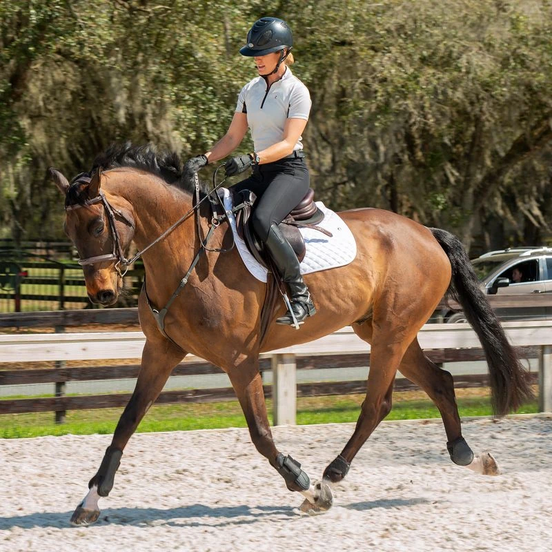 Equinavia Women's Maud Knee Patch Breeches - Black 4 Equinavia Women's Maud Knee Patch Breeches - Black - Image 4