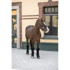 Back On Track Royal Quick Wraps Deluxe Pair - Black 8 Back On Track Royal Quick Wraps Deluxe Pair - Black -Tack Of The Day Store 803489 800 800