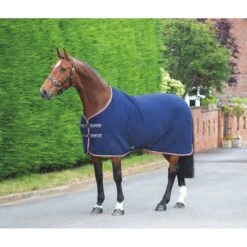Shires Tempest Original Tech Cooler - Ink