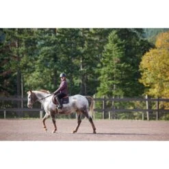 Kerrits Kids' Round Up Reversible Quilted Jacket - Vineyard Full Gallop 12 Kerrits Kids' Round Up Reversible Quilted Jacket - Vineyard Full Gallop -Tack Of The Day Store 833525 800 800