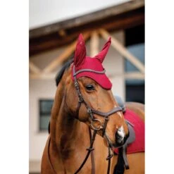 Amigo Earnet - Mulberry