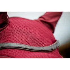 Amigo Earnet - Mulberry -Tack Of The Day Store 836261 800 800