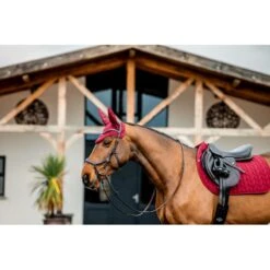 Amigo Earnet - Mulberry -Tack Of The Day Store 836263 800 800