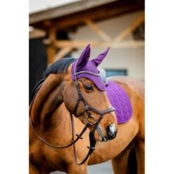 Amigo Earnet - Winterberry