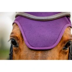 Amigo Earnet - Winterberry -Tack Of The Day Store 836289 800 800