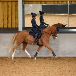Shires ARMA Tendon Boots - Black/Navy -Tack Of The Day Store 836709 800 800