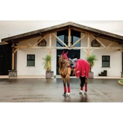 Amigo Fleece Cooler - Mulberry/Taupe -Tack Of The Day Store 836947 800 800