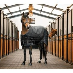 Horseware Easy-Layer Stable 100g - Black/Black/Silver