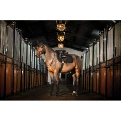 Amigo Fleece Bandages - Black 5 Amigo Fleece Bandages - Black -Tack Of The Day Store 837239 800 800