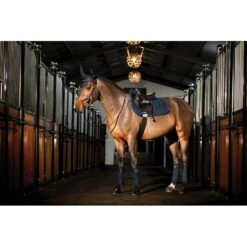 Amigo Fleece Bandages - Navy -Tack Of The Day Store 837318 800 800