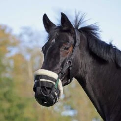 Shires FreeGraze AirFlow Grazing Muzzle - Black -Tack Of The Day Store 838353 800 800