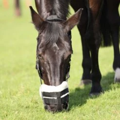 Shires FreeGraze AirFlow Grazing Muzzle - Black -Tack Of The Day Store 838354 800 800
