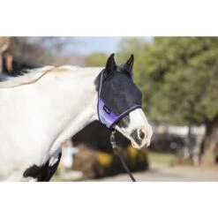 Kensington UV CatchMask Web Trim - Lavender Mint