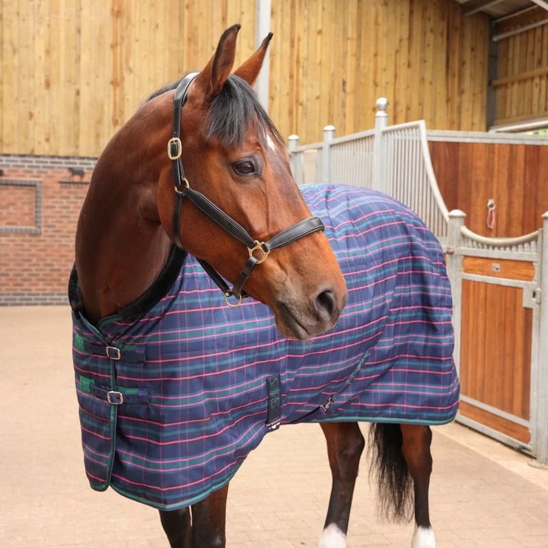 Shires Tempest Plus 100 Stable Rug - Navy Tartan 2 Shires Tempest Plus 100 Stable Rug - Navy Tartan - Image 2