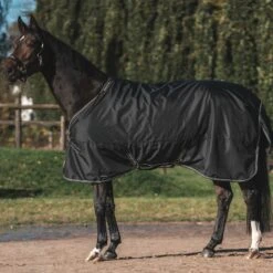 Back On Track Obsidian Turnout Blanket 150g W/Neck Cover - Black -Tack Of The Day Store 895200 800 800