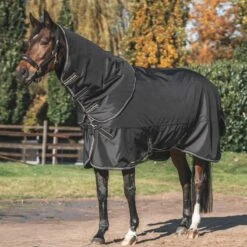 Back On Track Obsidian Turnout Blanket 150g W/Neck Cover - Black -Tack Of The Day Store 895201 800 800