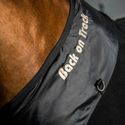 Back On Track Supreme Fleece Blanket W/D-Rings - Black -Tack Of The Day Store 895265 800 800