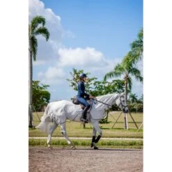 Amigo Flyrider - Silver/Titanium Grey/Silver -Tack Of The Day Store 900476 800 800