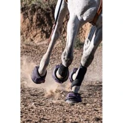 Cavallo Trek Boot - Black/Purple -Tack Of The Day Store 901682 800 800