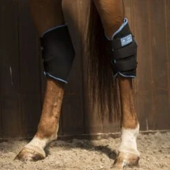 Lami-Cell Therapeutic Gel Ice Hock Boots - Black/Blue -Tack Of The Day Store 907848 800 800