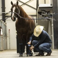 Lami-Cell Therapeutic Gel Ice Boots - Black/Blue -Tack Of The Day Store 907866 800 800