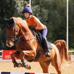 Shires Aubrion Women's Team Sleeveless Sun Shirt - Rust -Tack Of The Day Store 911700 800 800