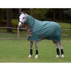 Weatherbeeta Comfitec Tyro Combo Neck Lite Plus - Green/Burnt Orange/White