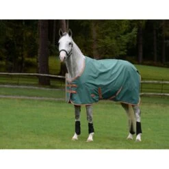 Weatherbeeta Comfitec Tyro Standard Neck Lite Plus - Green/Burnt Orange/White