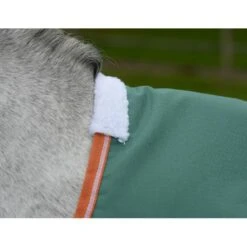 Weatherbeeta Comfitec Tyro Standard Neck Lite Plus - Green/Burnt Orange/White 8 Weatherbeeta Comfitec Tyro Standard Neck Lite Plus - Green/Burnt Orange/White -Tack Of The Day Store 926256 800 800