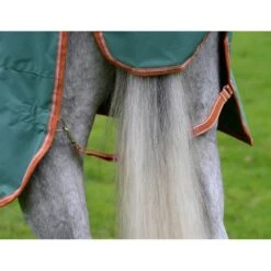 Weatherbeeta Comfitec Tyro Standard Neck Lite Plus - Green/Burnt Orange/White 10 Weatherbeeta Comfitec Tyro Standard Neck Lite Plus - Green/Burnt Orange/White -Tack Of The Day Store 926258 800 800