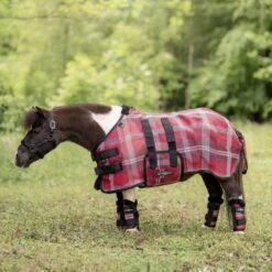 Kensington Textilene Mini Protective Fly Sheet - Merlot