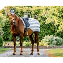 Horseware Newmarket Exercise Sheet - Witney Charcoal