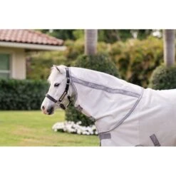 Amigo Pony Bug Rug Plus - Silver/Titanium Grey/Silver 8 Amigo Pony Bug Rug Plus - Silver/Titanium Grey/Silver -Tack Of The Day Store 943014 800 800