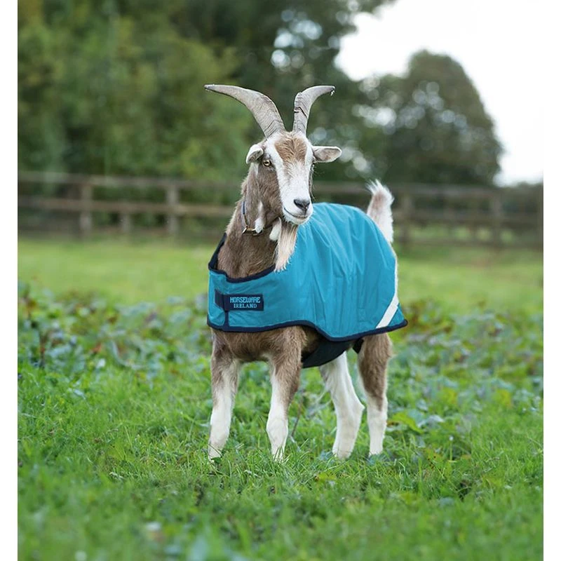 Horseware Goat Coat 100g - Delphinium Blue/Navy 1 Horseware Goat Coat 100g - Delphinium Blue/Navy