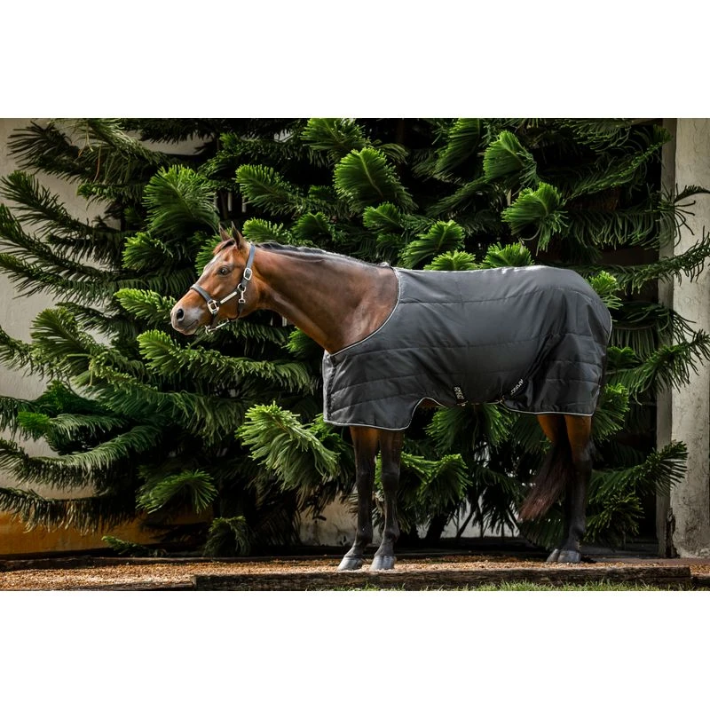 Amigo Stock Horse Stable 200g - Black/Black/Silver 1 Amigo Stock Horse Stable 200g - Black/Black/Silver