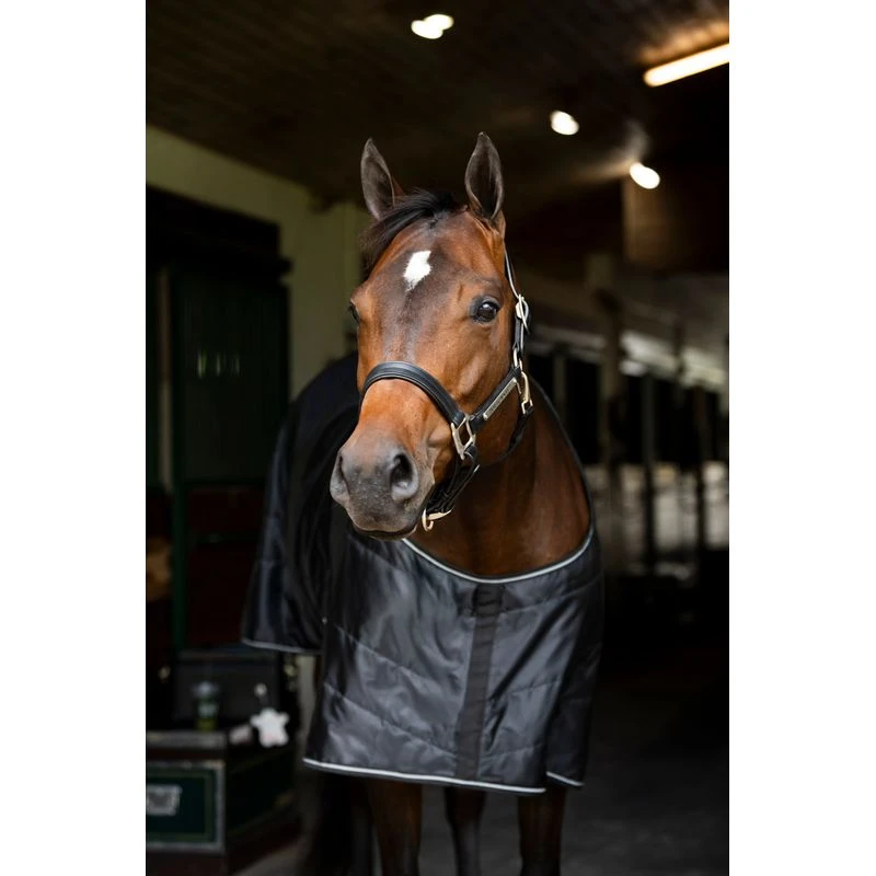 Amigo Stock Horse Stable 200g - Black/Black/Silver 2 Amigo Stock Horse Stable 200g - Black/Black/Silver - Image 2