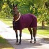 Shires Deluxe Fleece Rug - Black Cherry